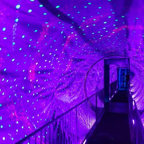 778 - Ripleys Believe It or Not Billet d'entrée