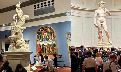 Gallerie de l'Accademie : visite guidée avec billet coupe-file