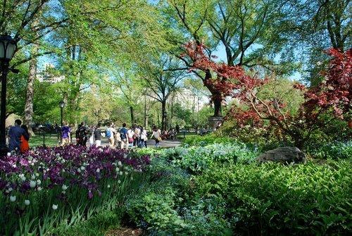 excursion-ou-louer-velo-au-central-park