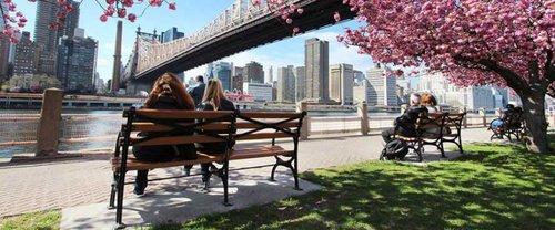 Dumbo Brooklyn Heights et Park Slope : visite à pied privée