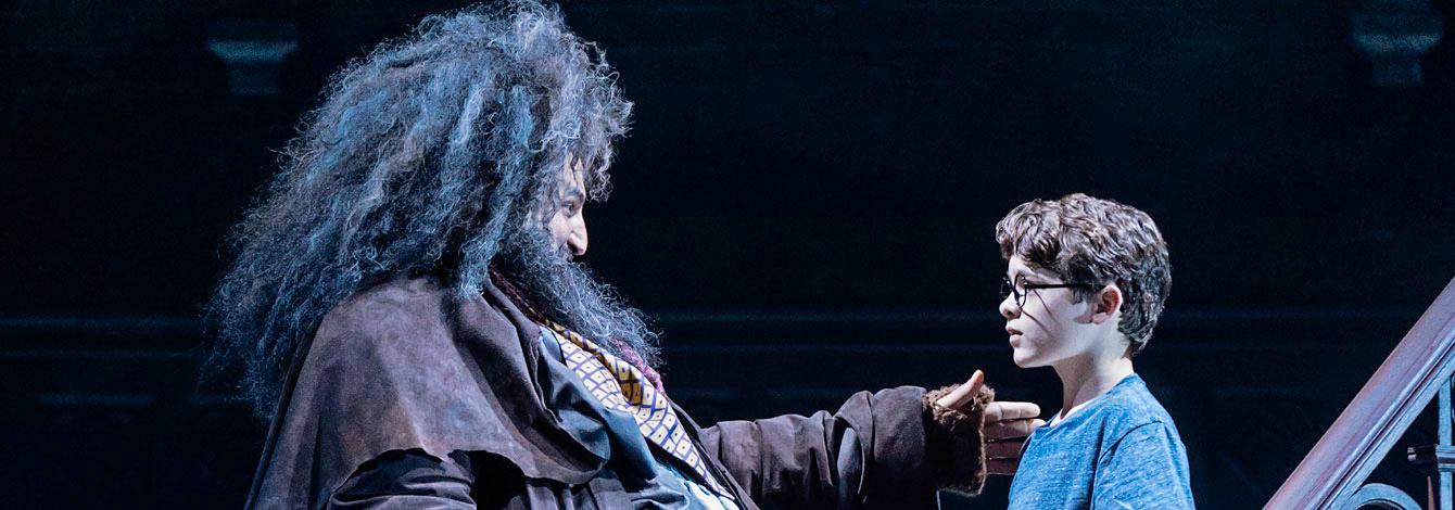 spectacle-harry-potter-billet-entree