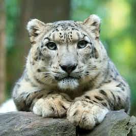 central-park-zoo-day-experience