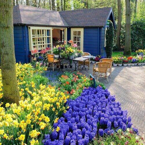 Keukenhof et illumination de la parade florale : billet d'entrée